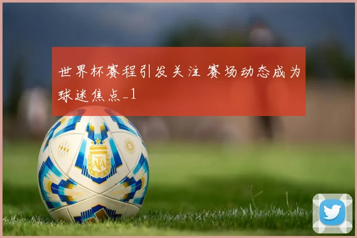世界杯赛程引发关注 赛场动态成为球迷焦点_1