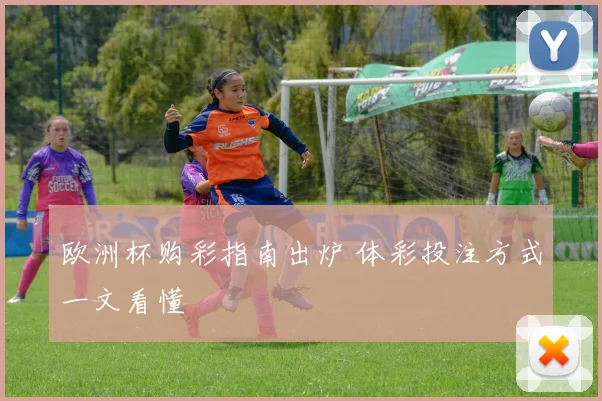 欧洲杯购彩指南出炉 体彩投注方式一文看懂