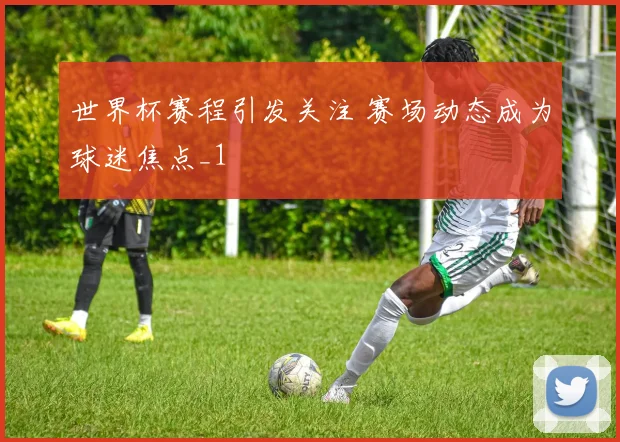 世界杯赛程引发关注 赛场动态成为球迷焦点_1